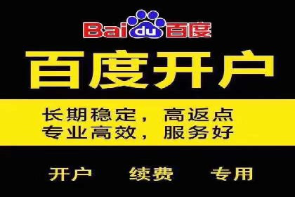 百度竞价投放技巧：行业领先企业的成功策略案例